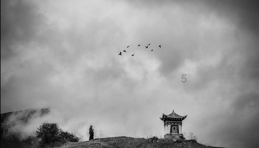 罗马2：全面战争