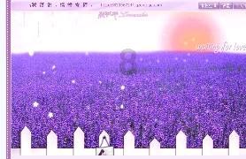 丰山集团拉升触及涨停 上演“地天板”