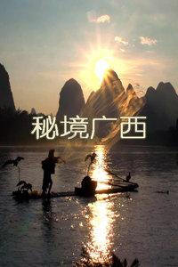 注会课程的特点是什么？探索知识的宝藏