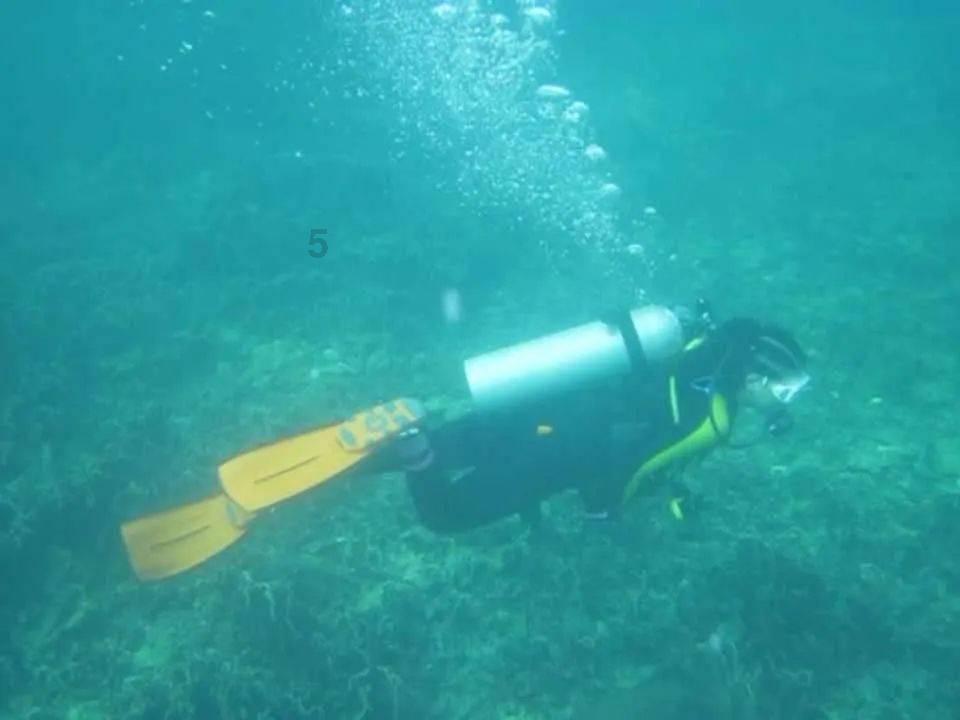 逃离整洁的储藏室