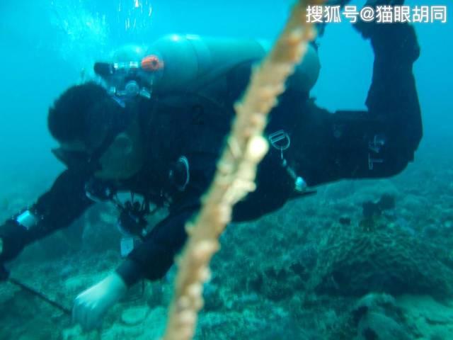 彩丽公主日常装扮