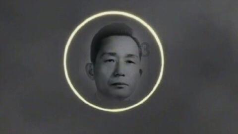 飘向何方?追踪失落气球的天空之旅与环保使命