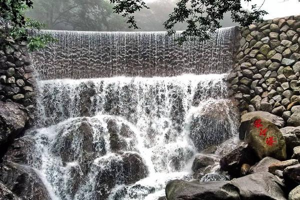 鱼汤怎么熬？牢记这四点，炖出来的鱼汤又浓又白，鲜香没腥味
