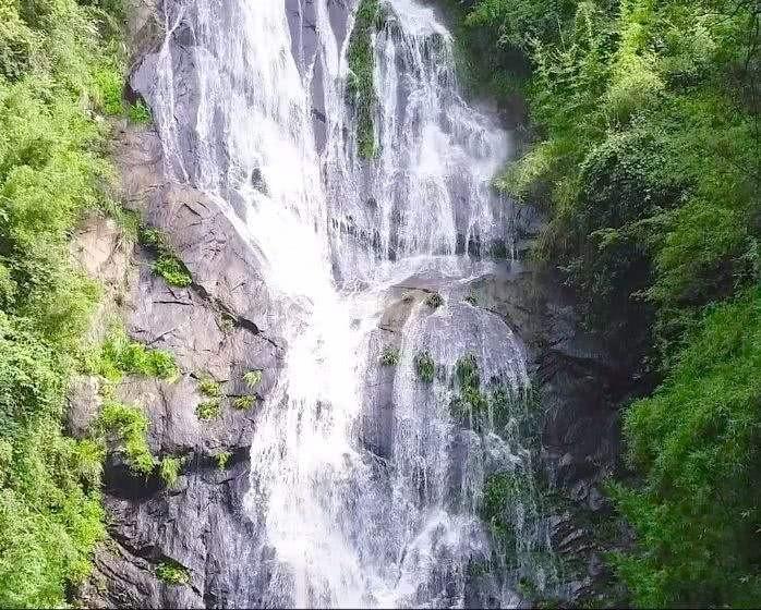 小艾比模仿秀