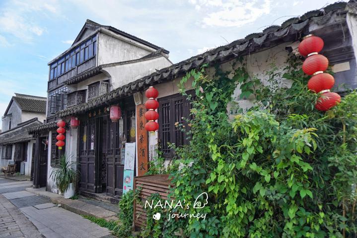 冬农蔬菜长势“旺”  增收致富有“钱”景