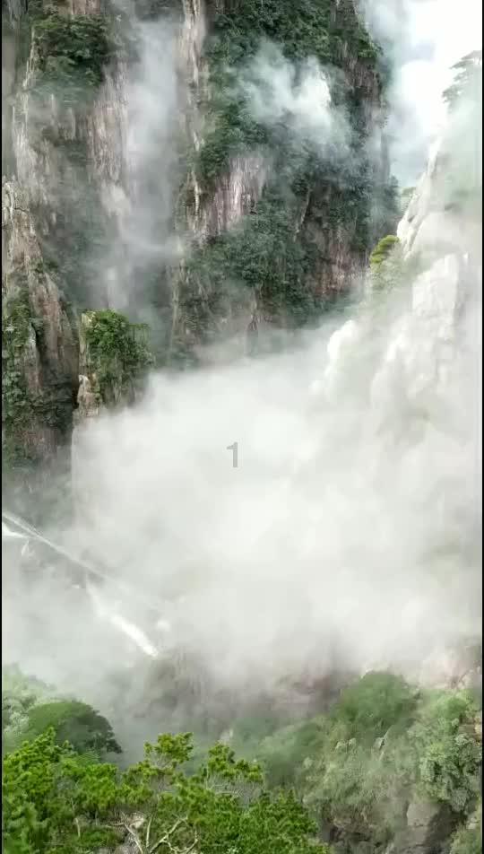 炸裂!龙生肖特种邮票,一票难求